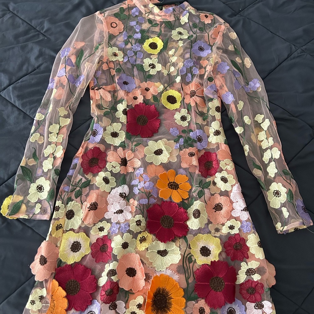 Finesse Sheer Dress with Floral Embroidery